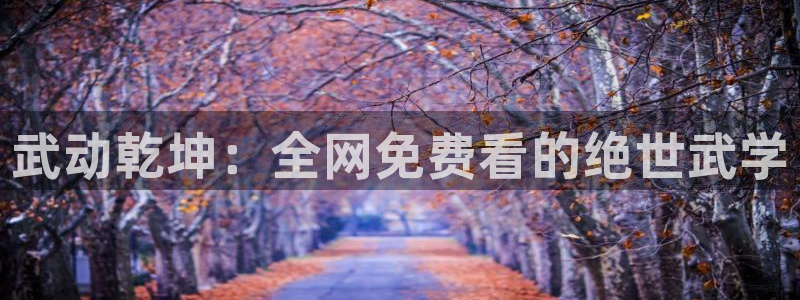 成漫虫虫漫画：武动乾坤：全网免费看的绝世武学